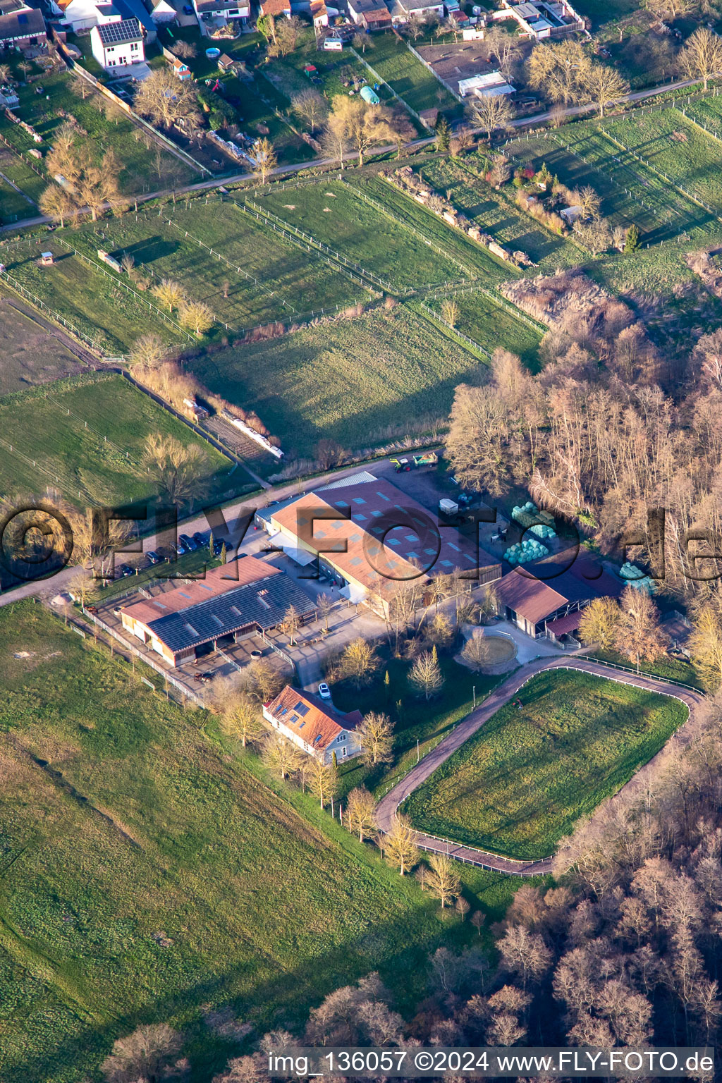 Iceland Stud Bienwald in Freckenfeld in the state Rhineland-Palatinate, Germany