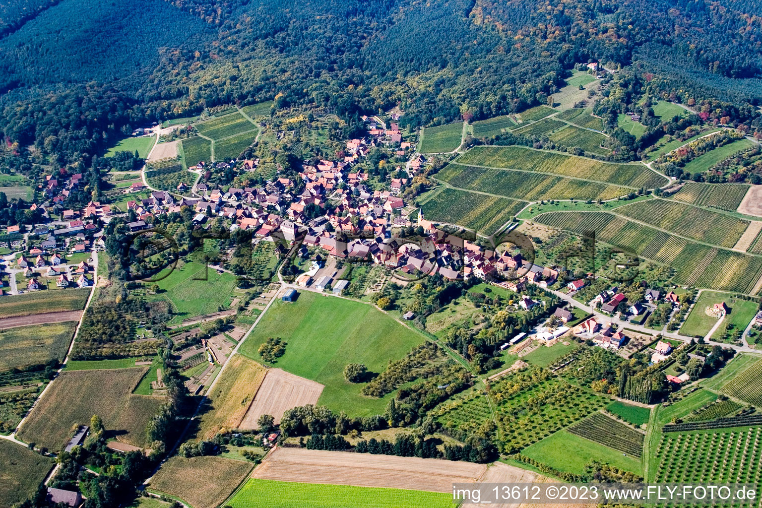 Oblique view of Rott in the state Bas-Rhin, France