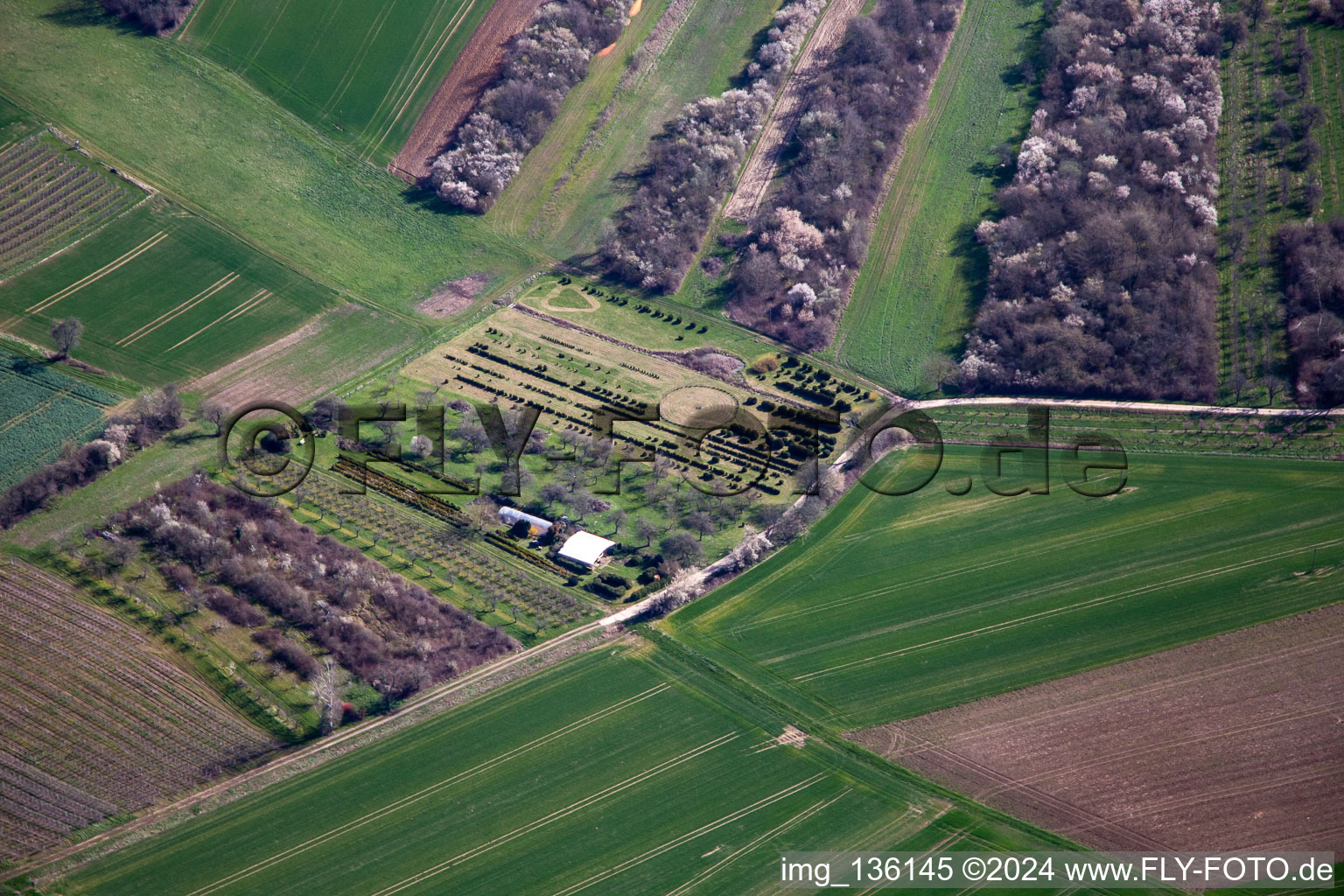 Nursery in Schweighofen in the state Rhineland-Palatinate, Germany