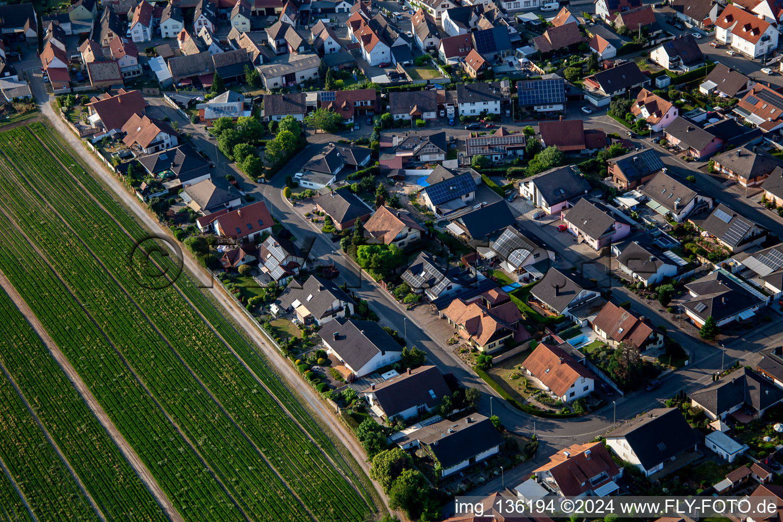 South Ring from the south in Kuhardt in the state Rhineland-Palatinate, Germany