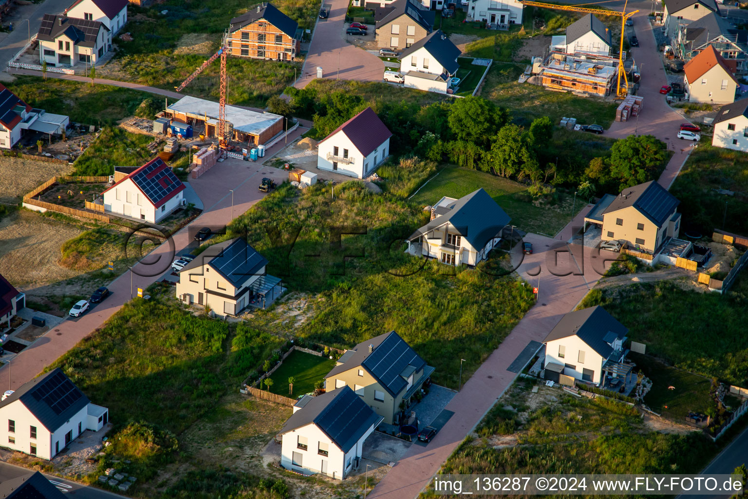 Aerial view of New development area Lavendelweg in Kandel in the state Rhineland-Palatinate, Germany