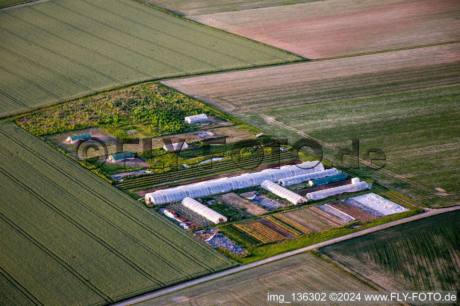 Steinweiler in the state Rhineland-Palatinate, Germany from above