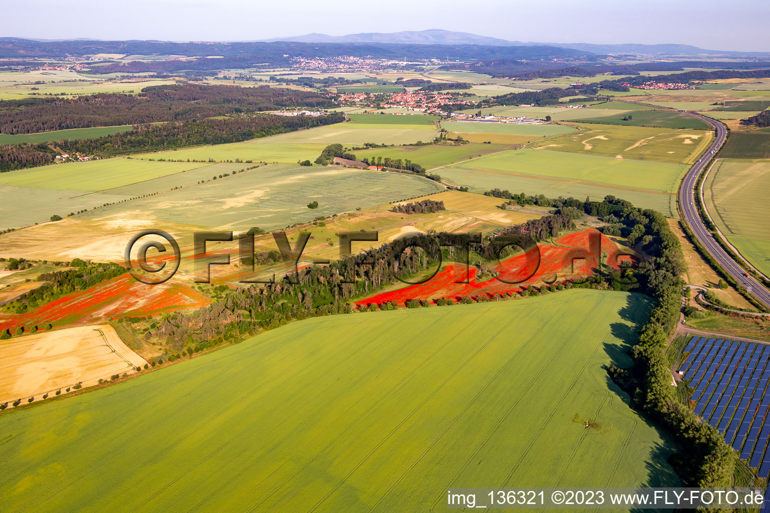 Corn poppy fields in the district Westerhausen in Thale in the state Saxony-Anhalt, Germany