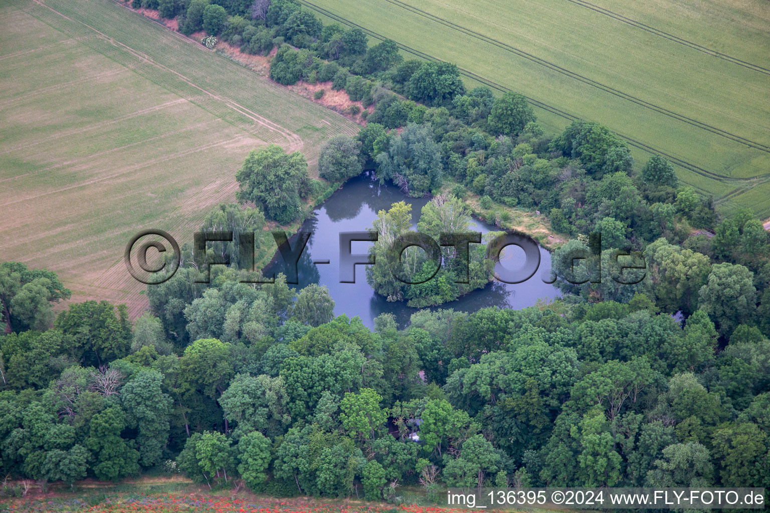 Poplar Pond in the district Ermsleben in Falkenstein in the state Saxony-Anhalt, Germany