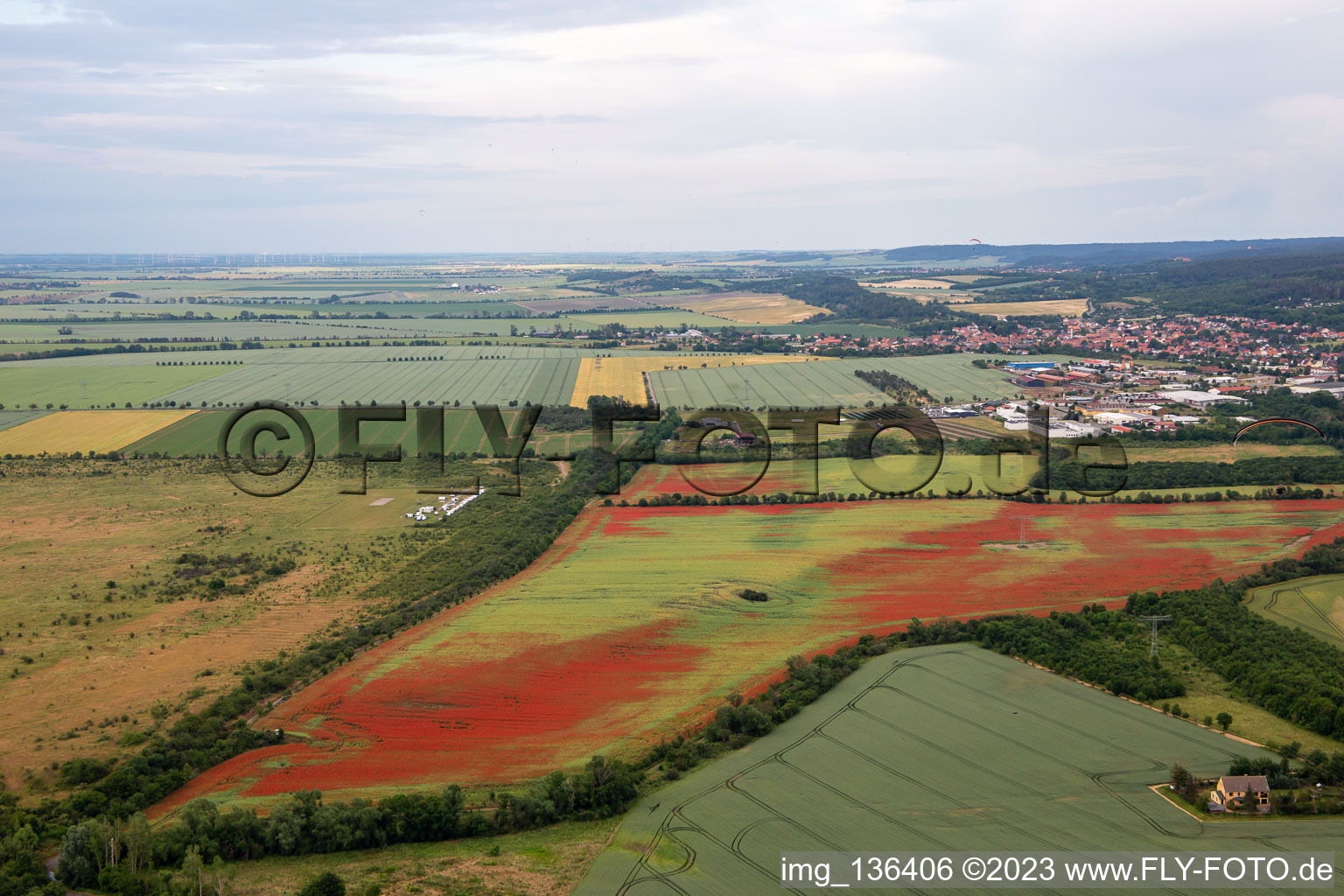 Aerial photograpy of Corn poppies in cornfields in the district Gernrode in Quedlinburg in the state Saxony-Anhalt, Germany