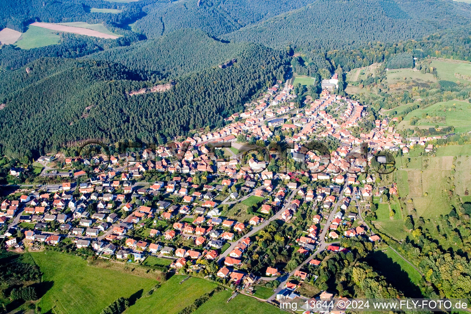 Drone recording of Busenberg in the state Rhineland-Palatinate, Germany