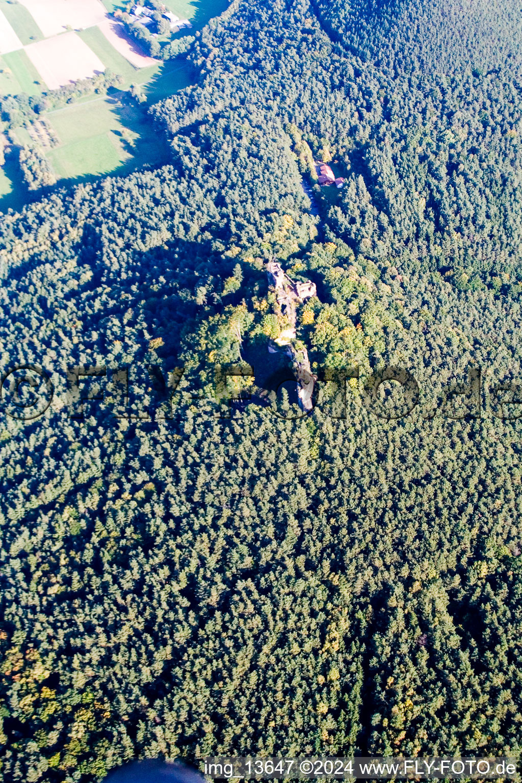 Drachenfels Castle Ruins in Busenberg in the state Rhineland-Palatinate, Germany seen from a drone