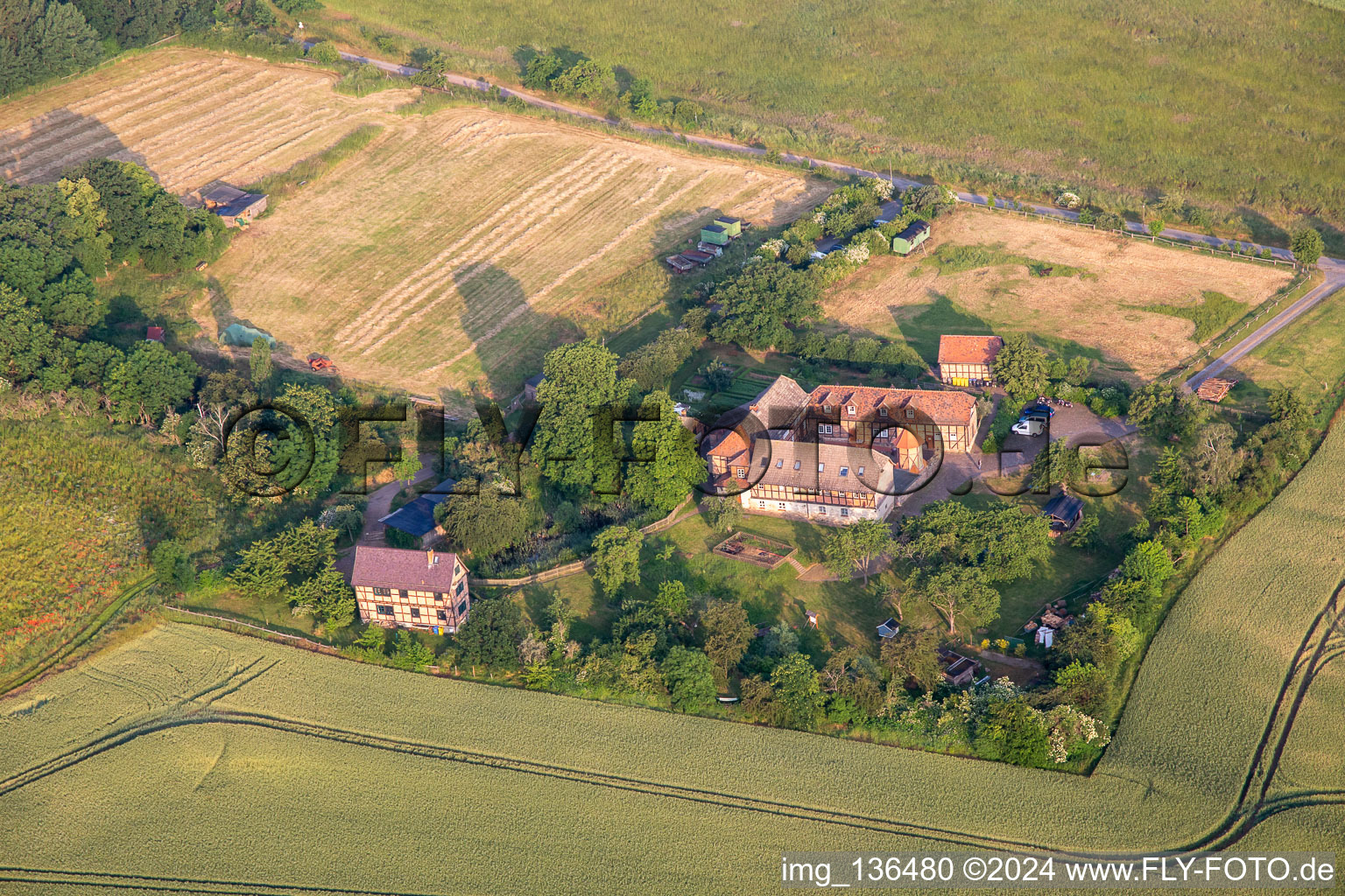 Hostel Forsthaus Friedrichshohenberg in the district Ermsleben in Falkenstein in the state Saxony-Anhalt, Germany