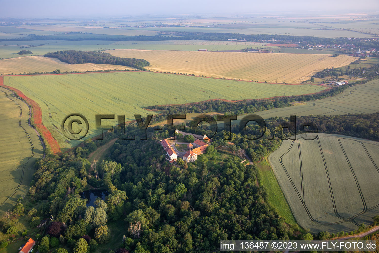 Konradsburg in the district Ermsleben in Falkenstein in the state Saxony-Anhalt, Germany from above