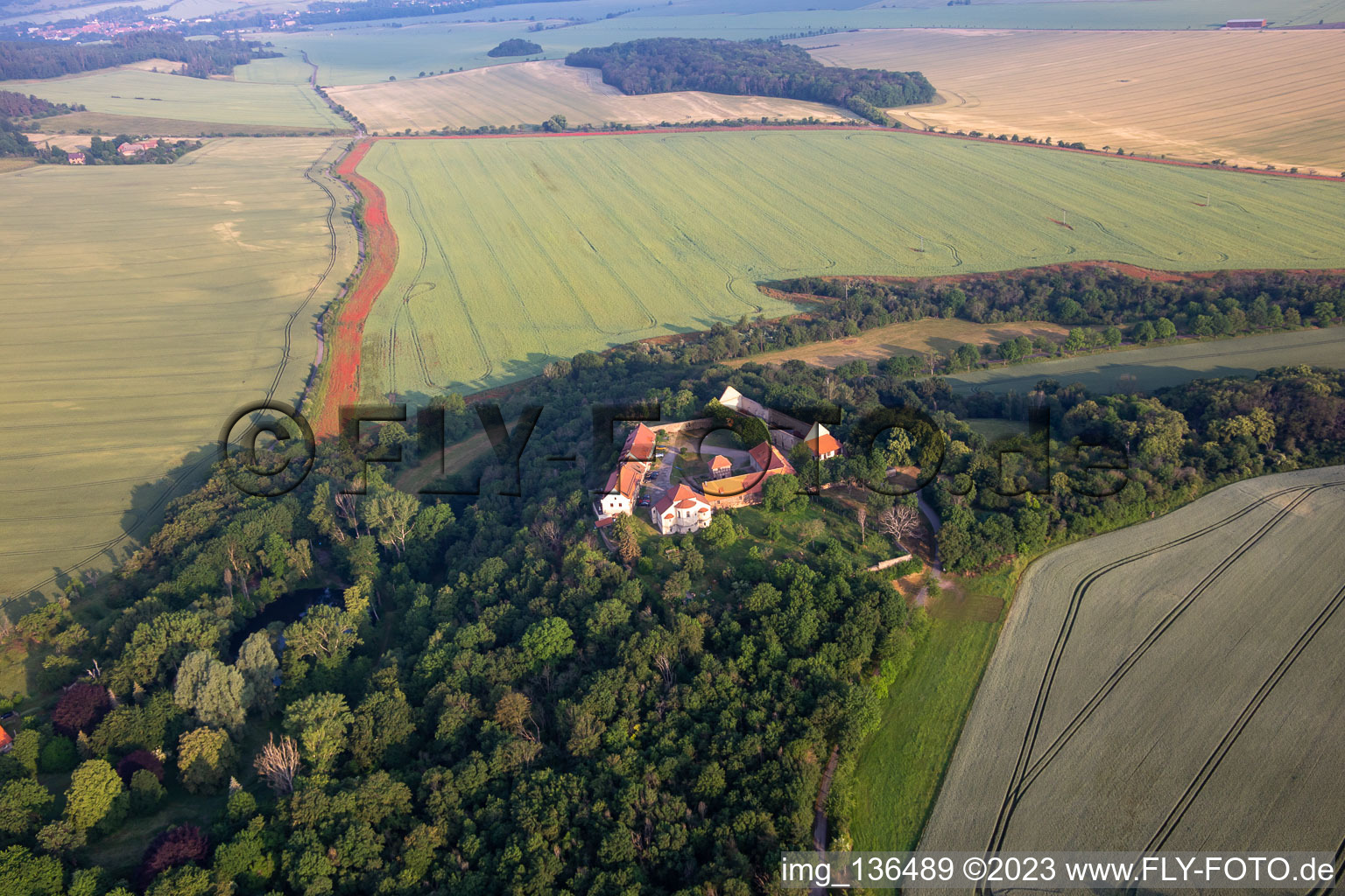 Konradsburg in the district Ermsleben in Falkenstein in the state Saxony-Anhalt, Germany seen from above