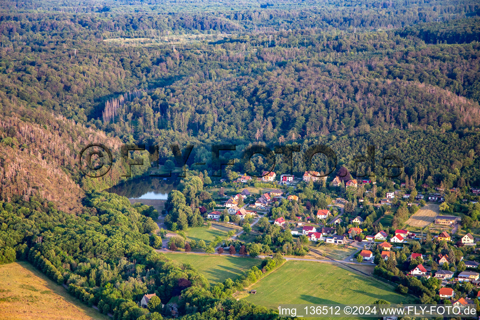 Osterteich forest pool in the district Gernrode in Quedlinburg in the state Saxony-Anhalt, Germany