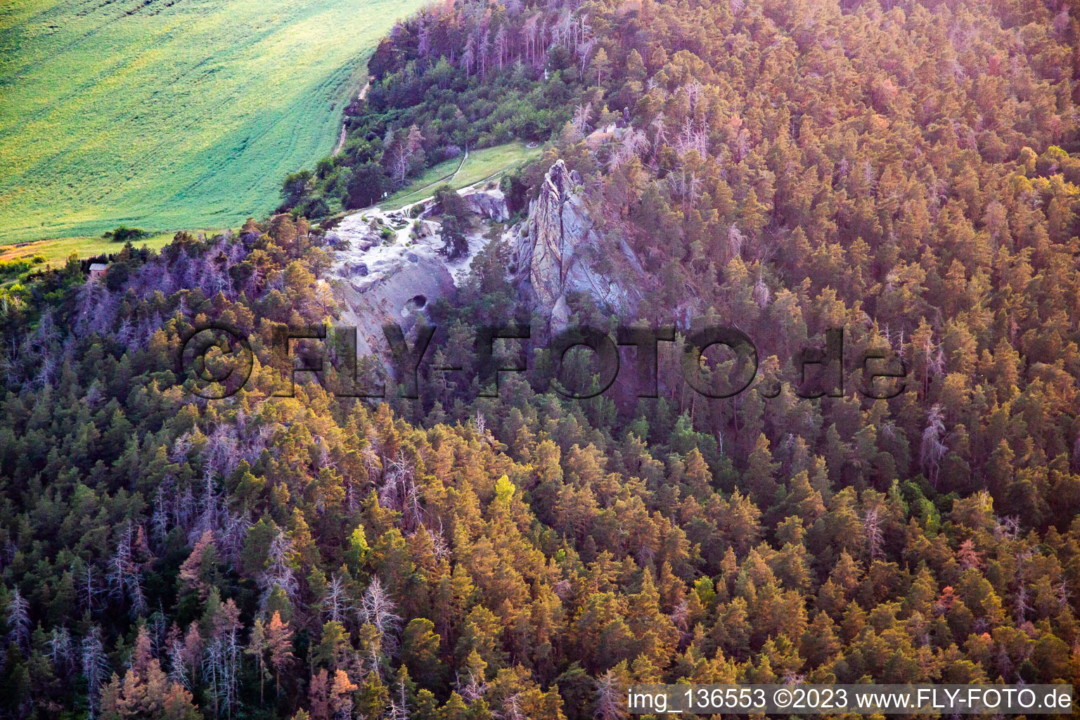 Aerial view of Oracle rock, Kucksburg in the district Timmenrode in Blankenburg in the state Saxony-Anhalt, Germany