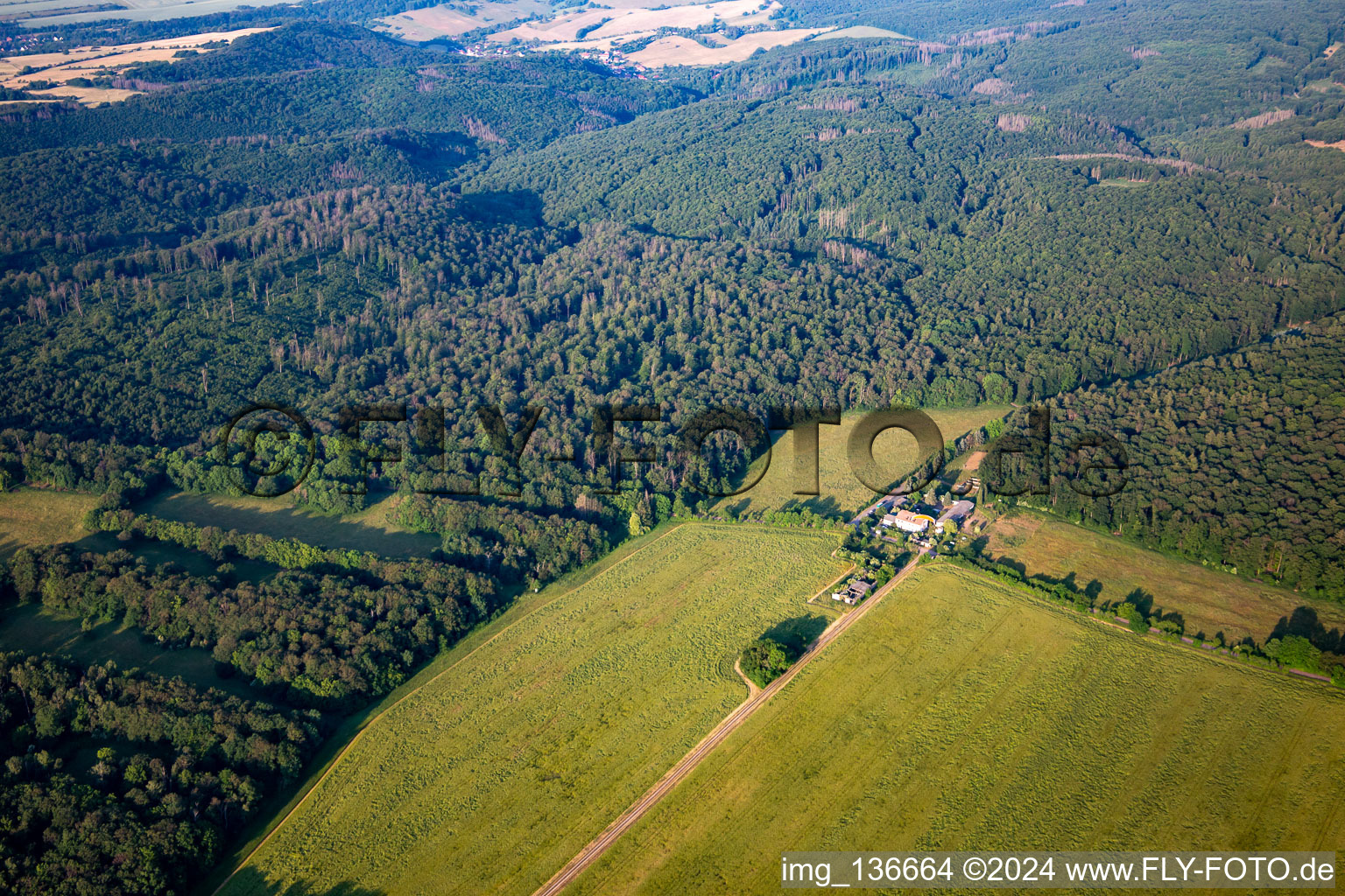 Aerial view of Ludwigshrub in the district Grillenberg in Sangerhausen in the state Saxony-Anhalt, Germany