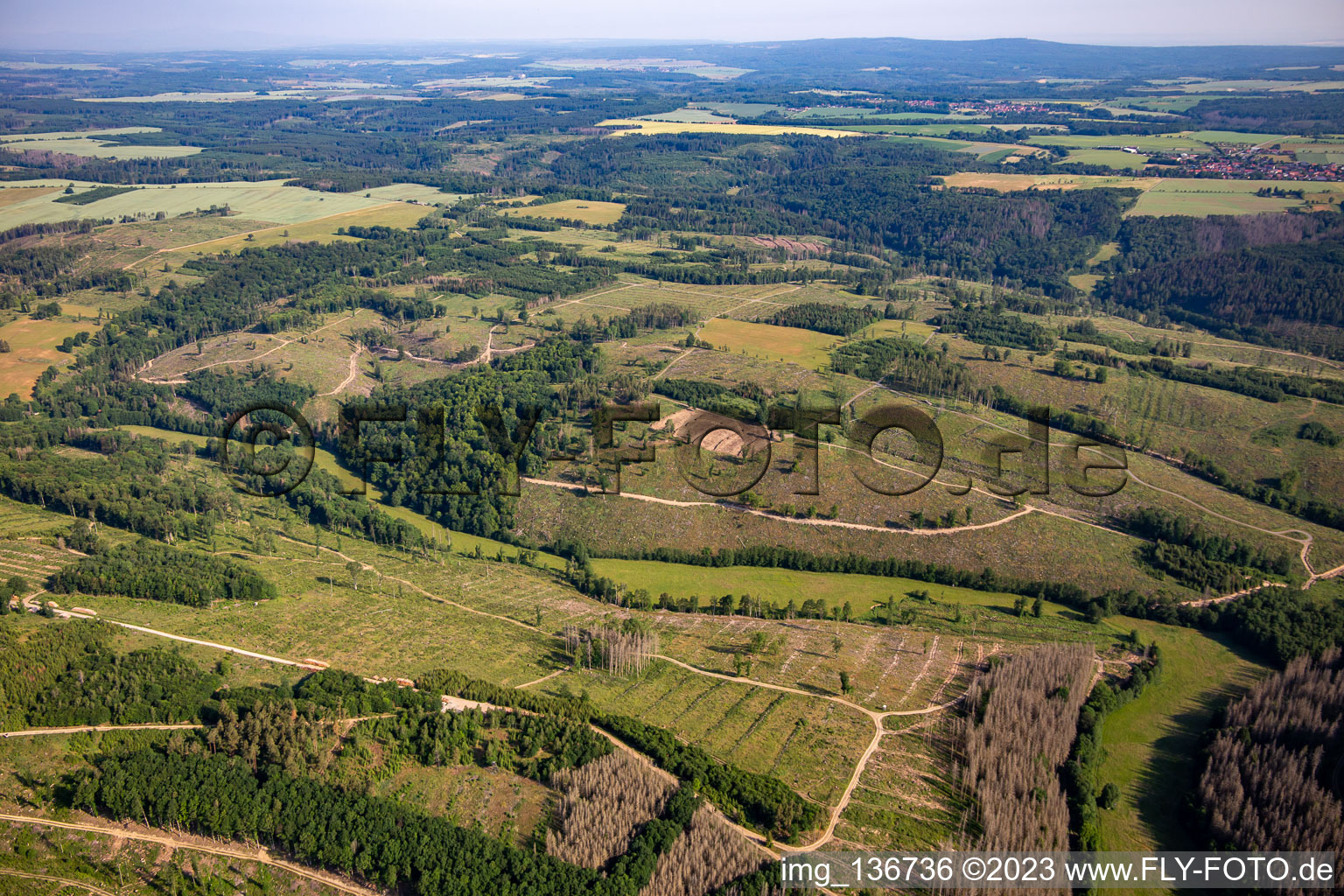 Remains of the bark beetle forest and reforestation in the district Dankerode in Harzgerode in the state Saxony-Anhalt, Germany