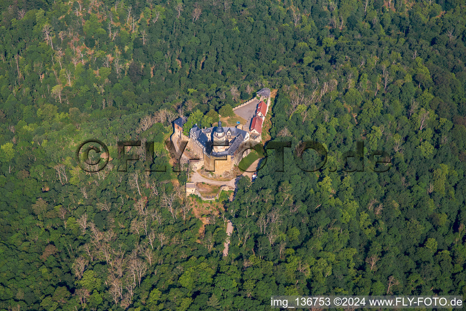 Castle Falkenstein (Harz) in the district Pansfelde in Falkenstein in the state Saxony-Anhalt, Germany seen from above