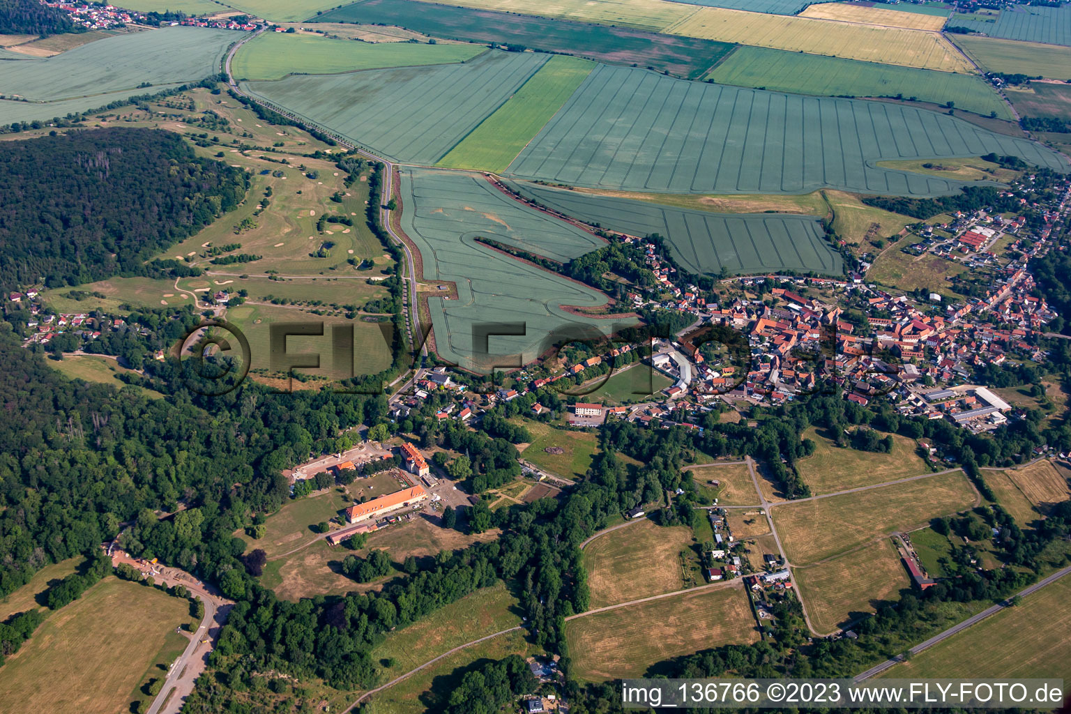 Oblique view of District Meisdorf in Falkenstein in the state Saxony-Anhalt, Germany