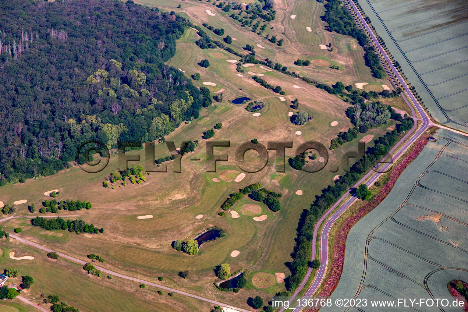 Oblique view of Golf Club Schloß Meisdorf eV in the district Meisdorf in Falkenstein in the state Saxony-Anhalt, Germany