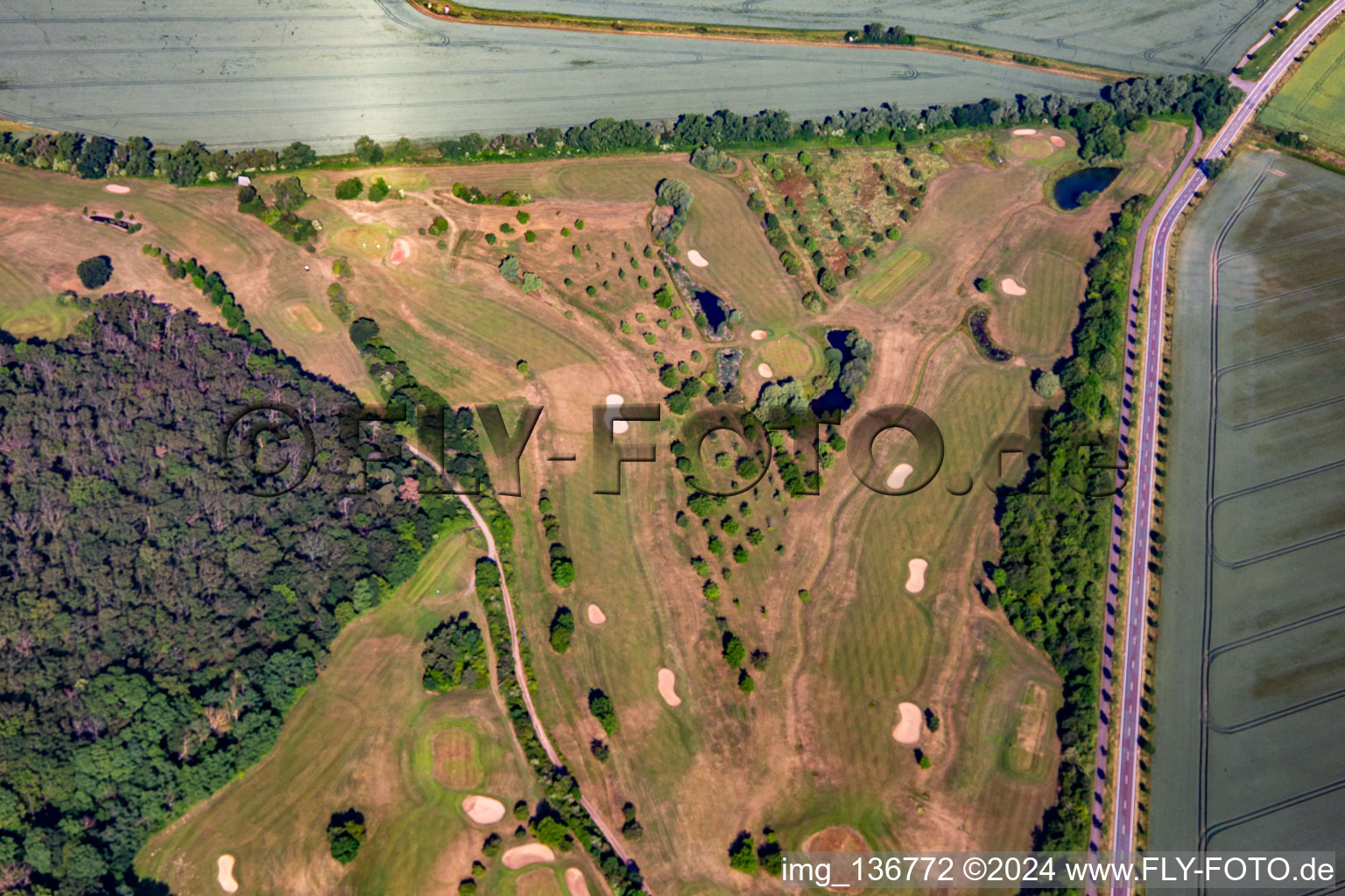 District Meisdorf in Falkenstein in the state Saxony-Anhalt, Germany from above