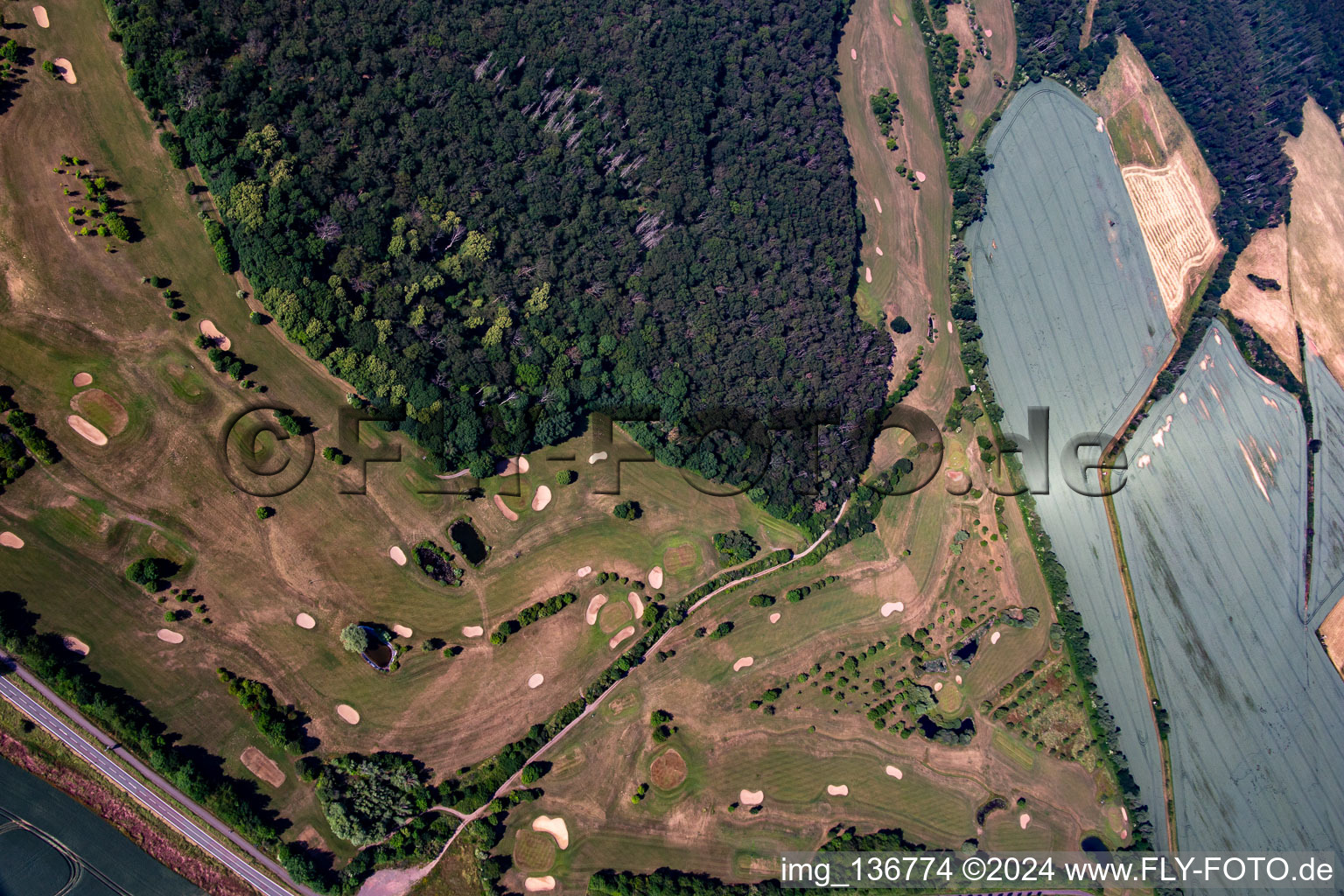 Golf Club Schloß Meisdorf eV in the district Meisdorf in Falkenstein in the state Saxony-Anhalt, Germany out of the air