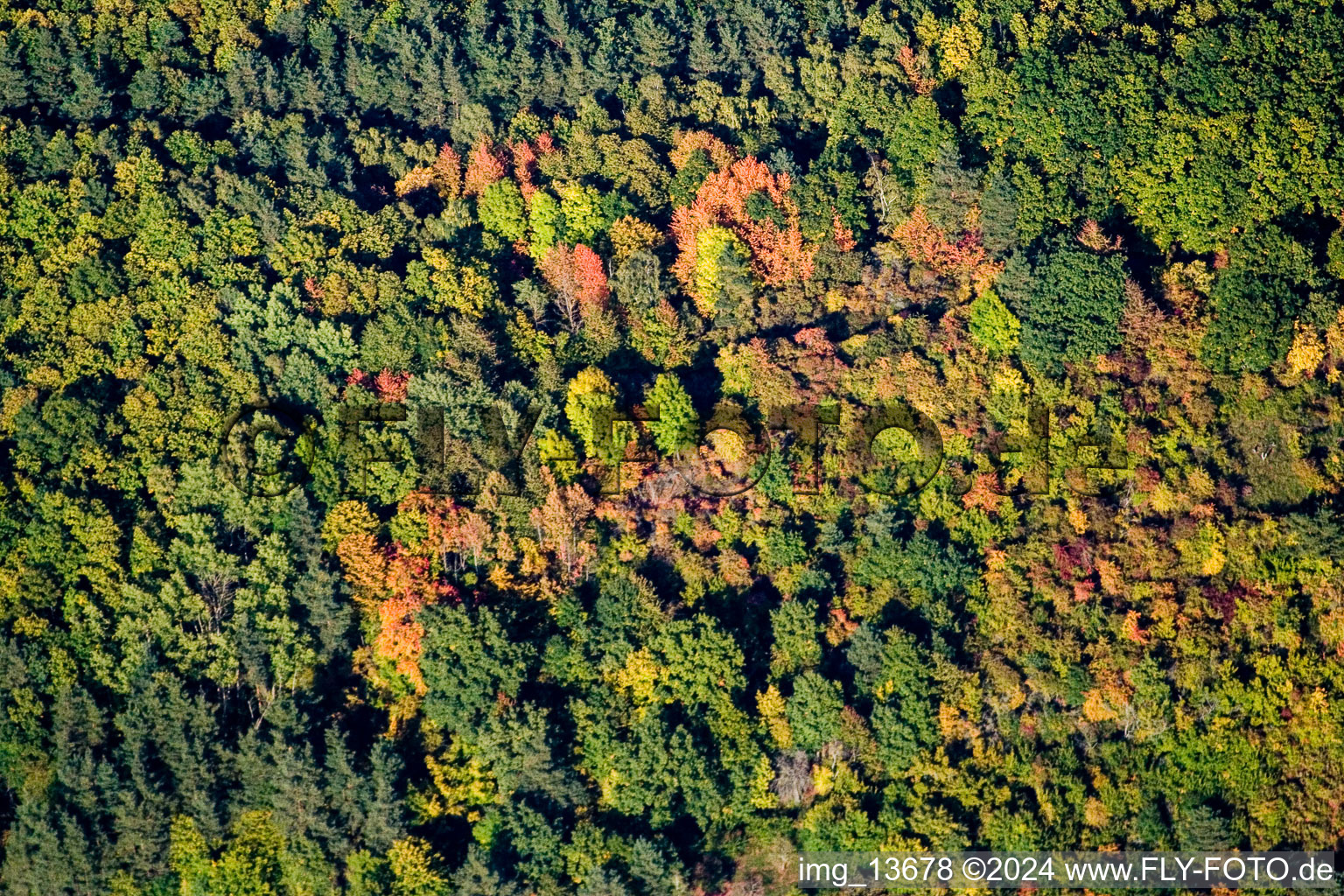 Waldhambach in the state Rhineland-Palatinate, Germany from the drone perspective