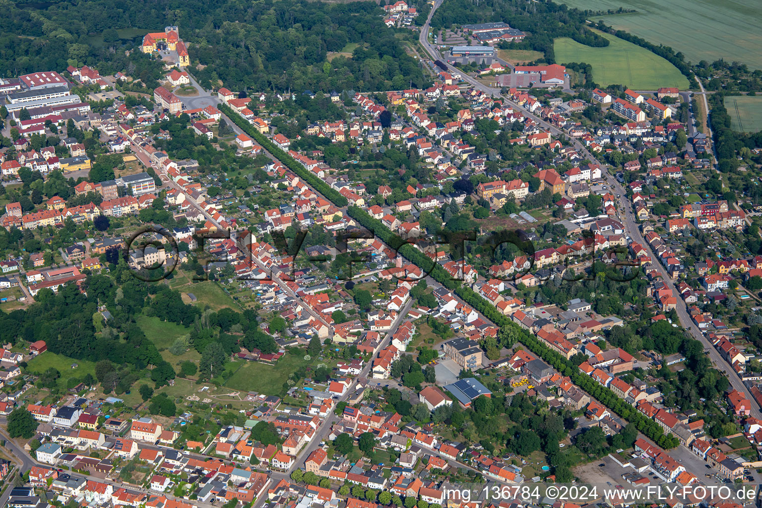 Avenue to the castle in Ballenstedt in the state Saxony-Anhalt, Germany