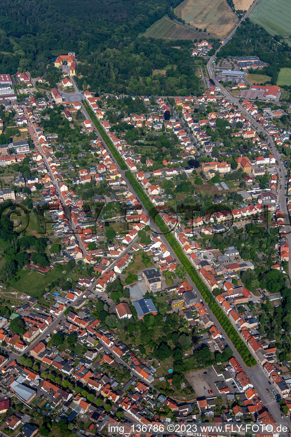Aerial view of Avenue to the castle in Ballenstedt in the state Saxony-Anhalt, Germany