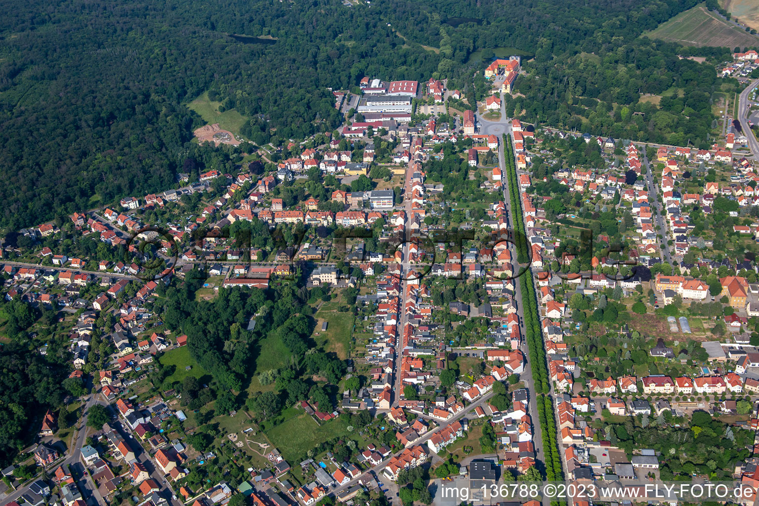 Aerial photograpy of Avenue to the castle in Ballenstedt in the state Saxony-Anhalt, Germany