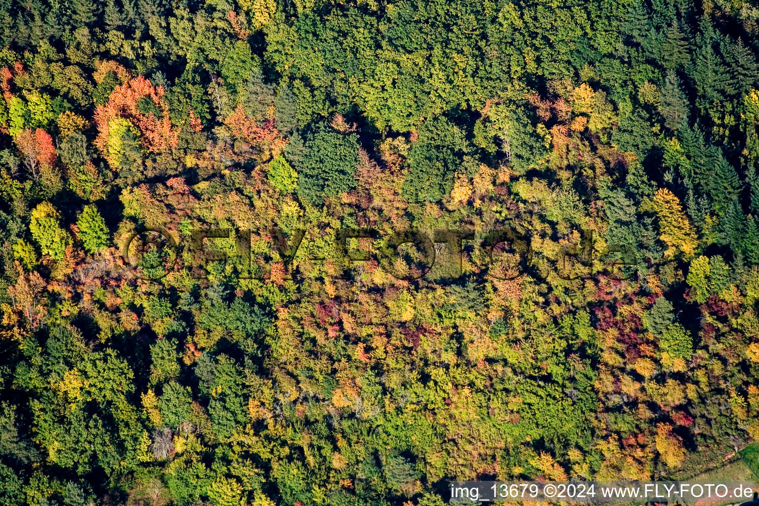 Waldhambach in the state Rhineland-Palatinate, Germany from a drone