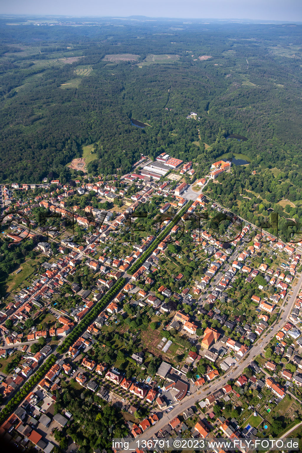 Oblique view of Avenue to the castle in Ballenstedt in the state Saxony-Anhalt, Germany