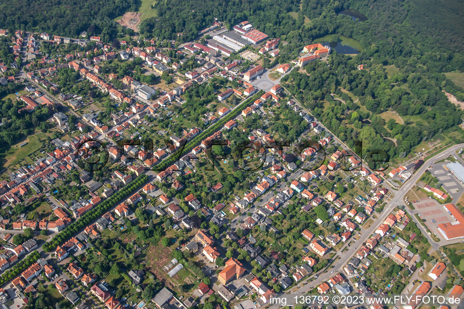 Avenue to the castle in Ballenstedt in the state Saxony-Anhalt, Germany from above