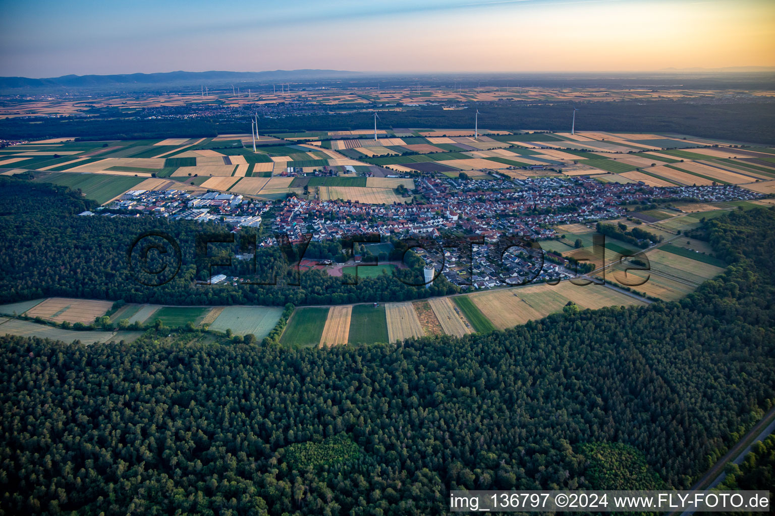 At sunrise in Hatzenbühl in the state Rhineland-Palatinate, Germany