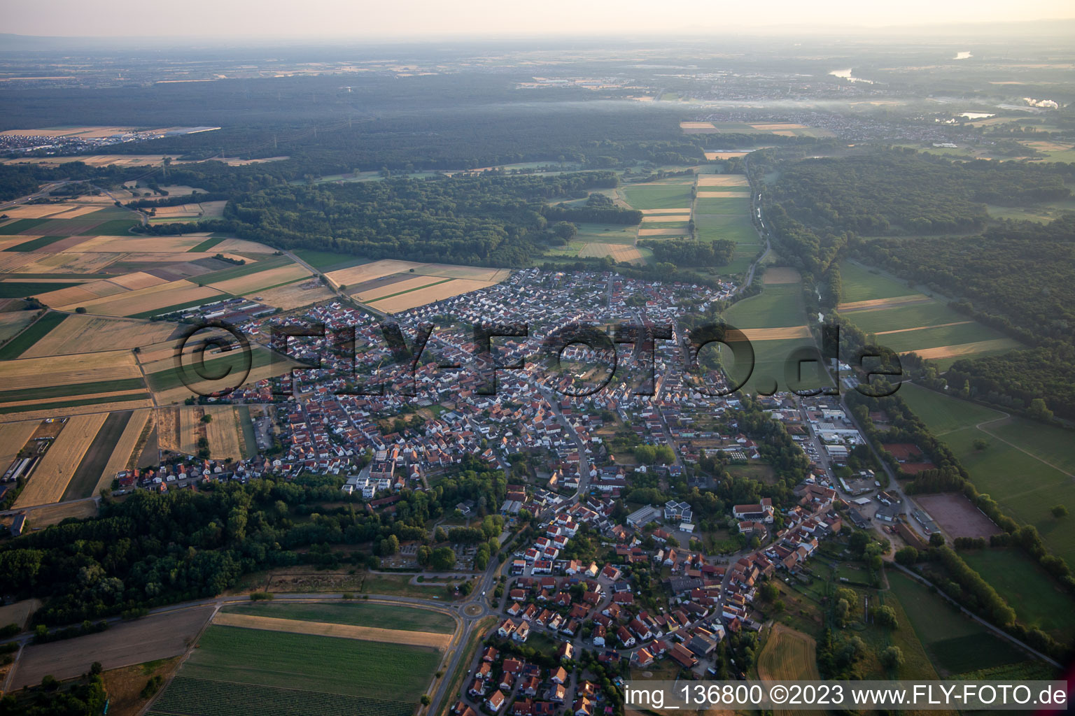 Bird's eye view of Hördt in the state Rhineland-Palatinate, Germany