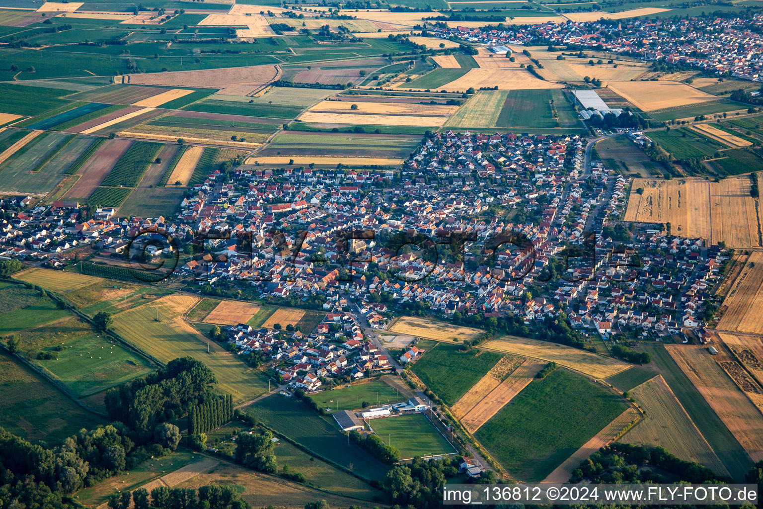 From the east in the morning in the district Mechtersheim in Römerberg in the state Rhineland-Palatinate, Germany