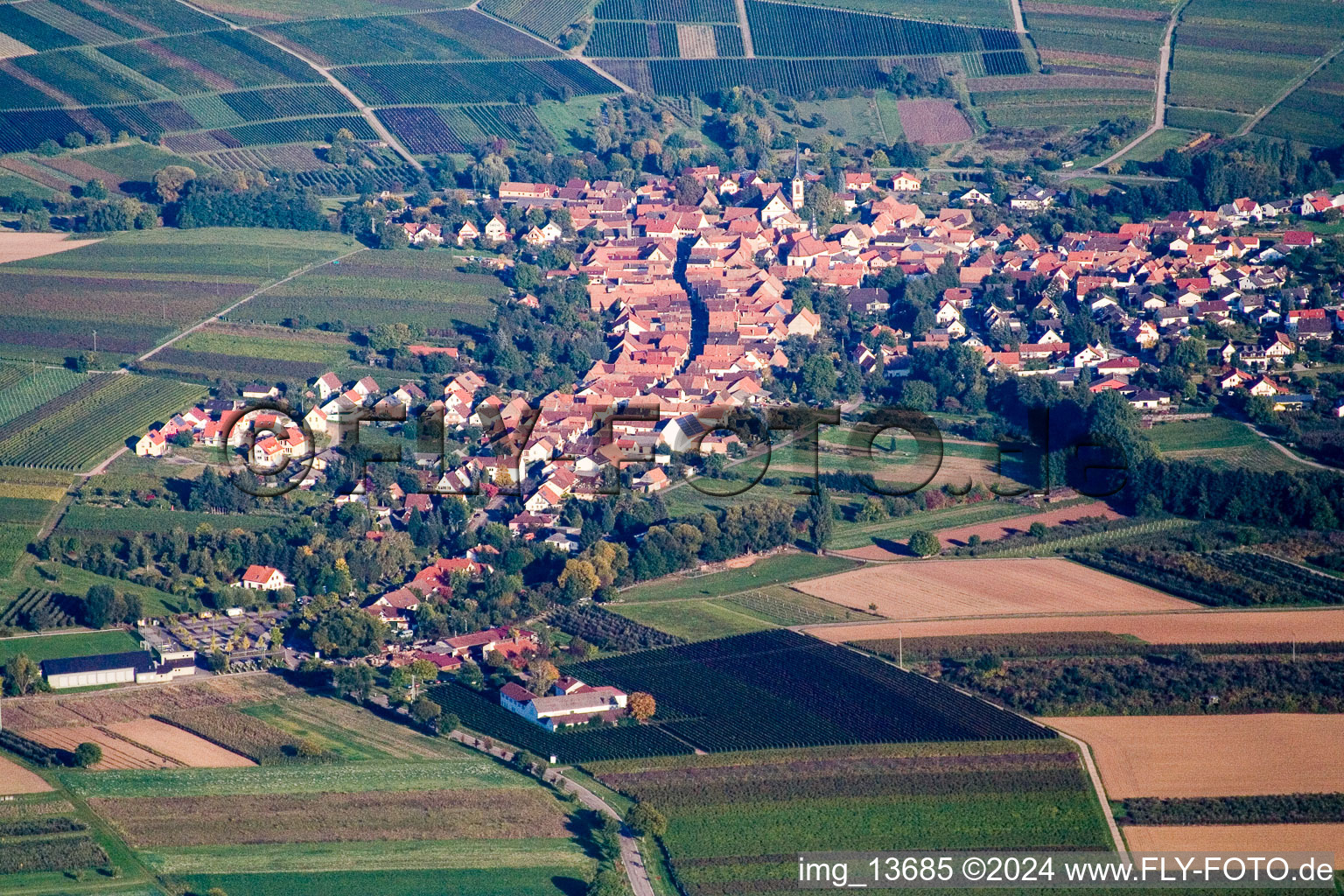 Göcklingen in the state Rhineland-Palatinate, Germany out of the air