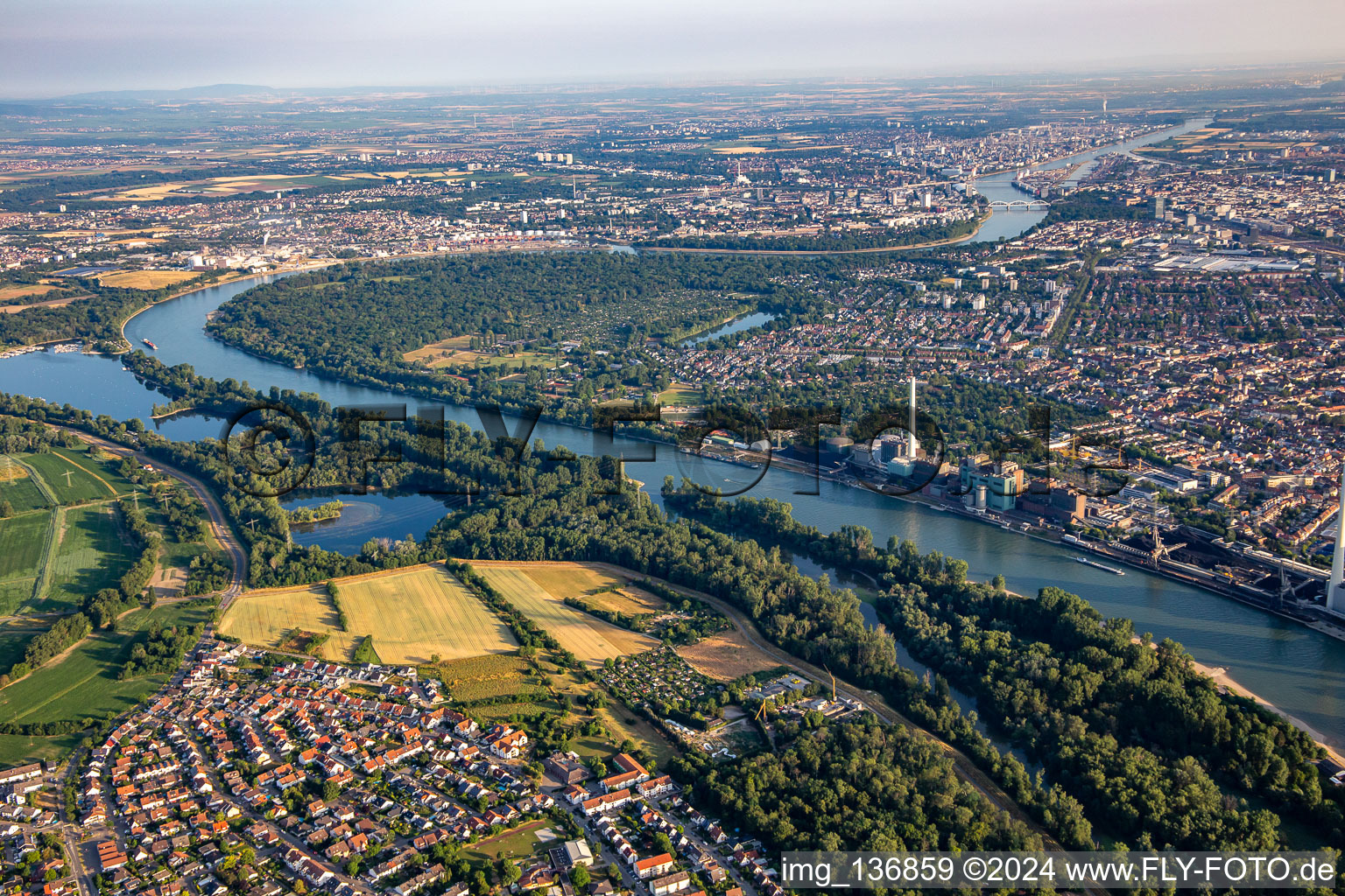 Forest park in the Rhine loop in the district Niederfeld in Mannheim in the state Baden-Wuerttemberg, Germany