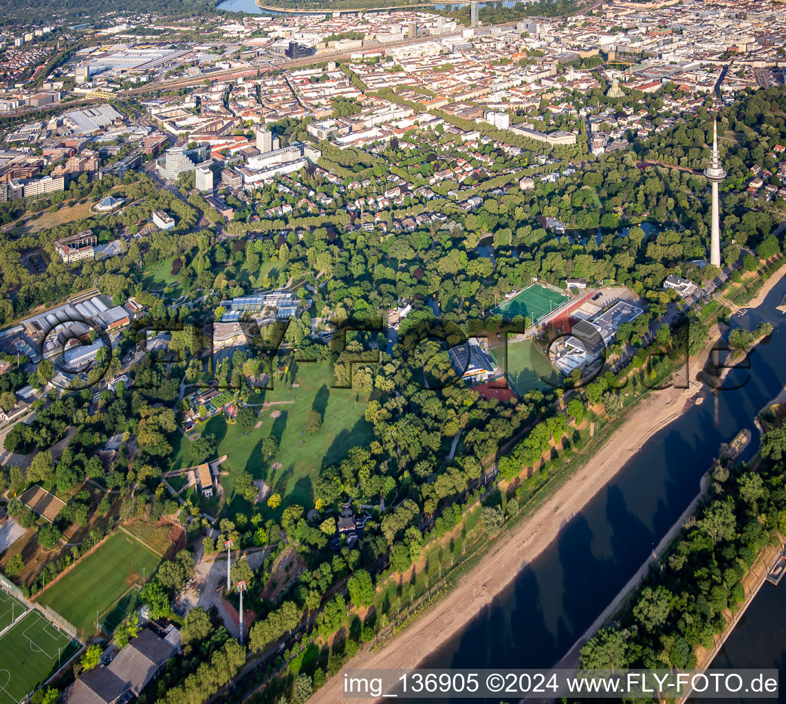 Oblique view of Luisenpark Mannheim with telecommunications tower Mannheim on the Neckar, part of the Federal Garden Show 2023 BUGA23 in the district Oststadt in Mannheim in the state Baden-Wuerttemberg, Germany