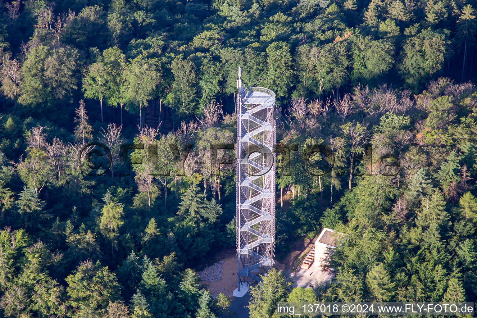 Aerial view of Drum tower Rimbach in Rimbach in the state Hesse, Germany