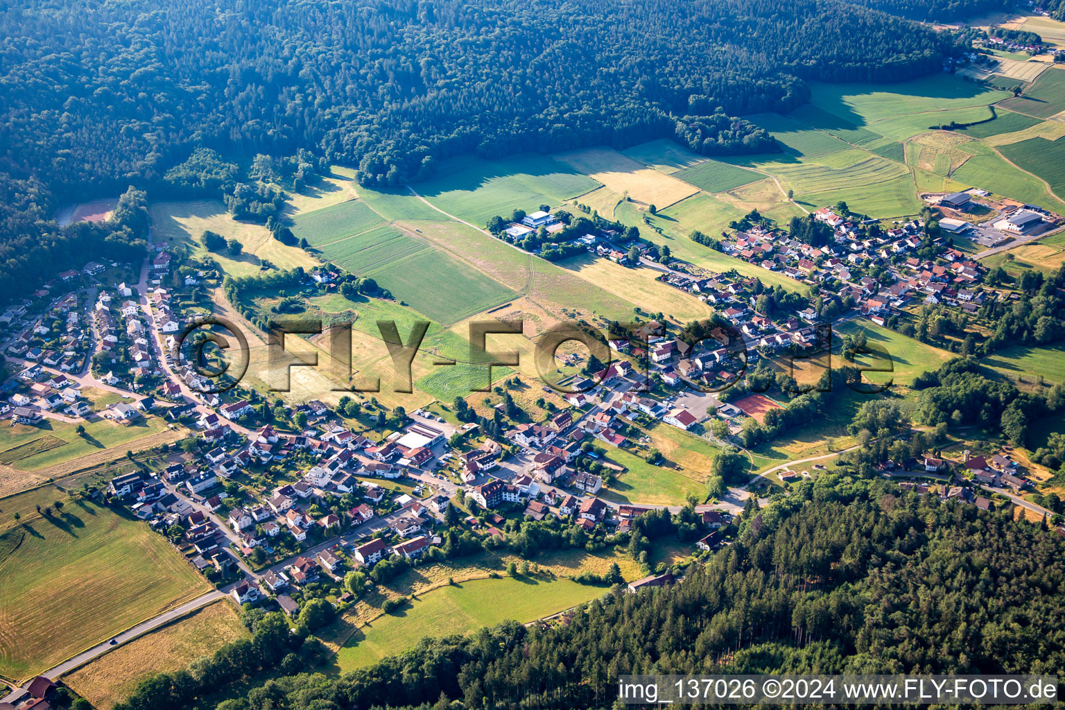 District Wahlen in Grasellenbach in the state Hesse, Germany from above