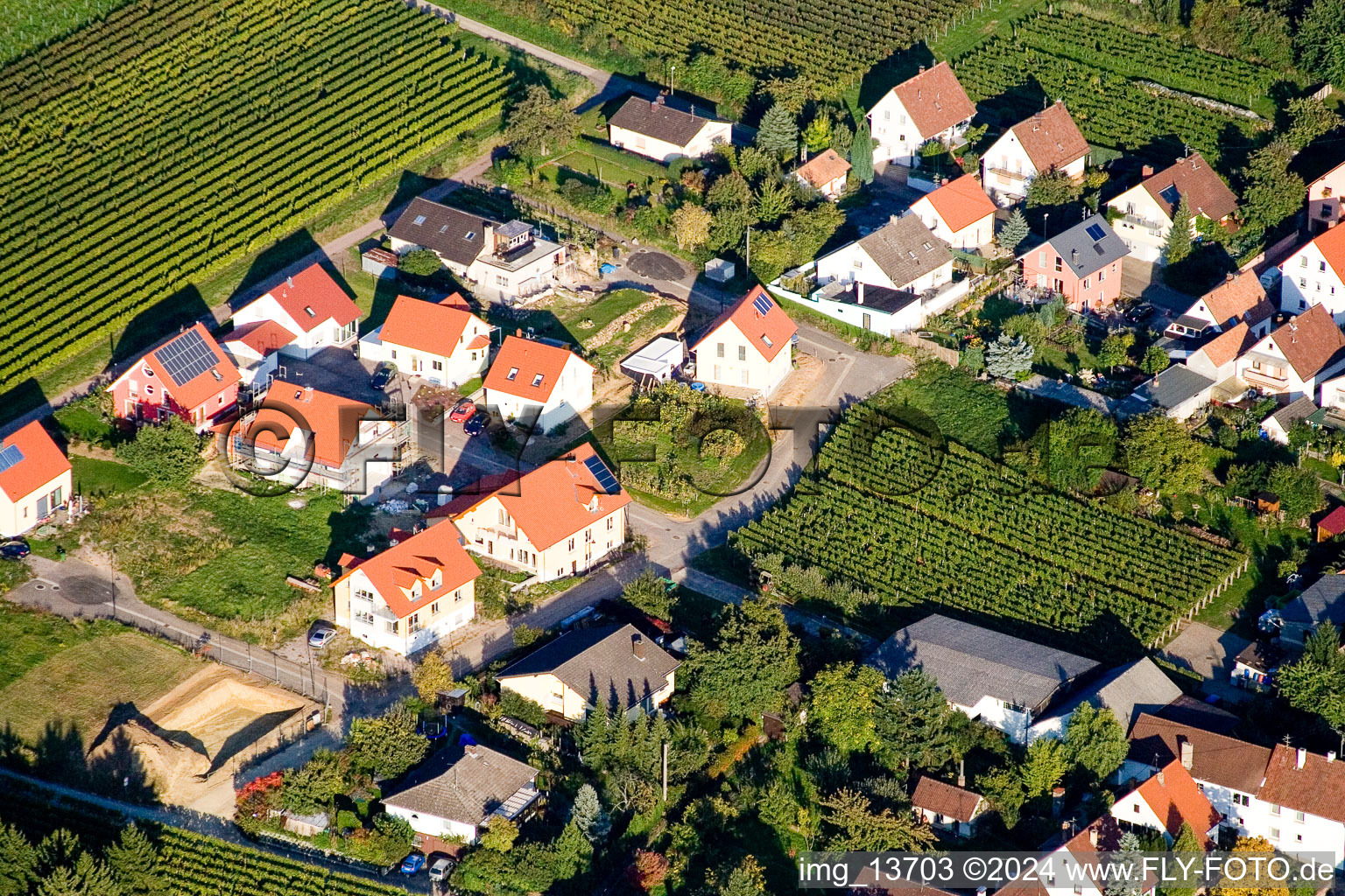 Göcklingen in the state Rhineland-Palatinate, Germany seen from above