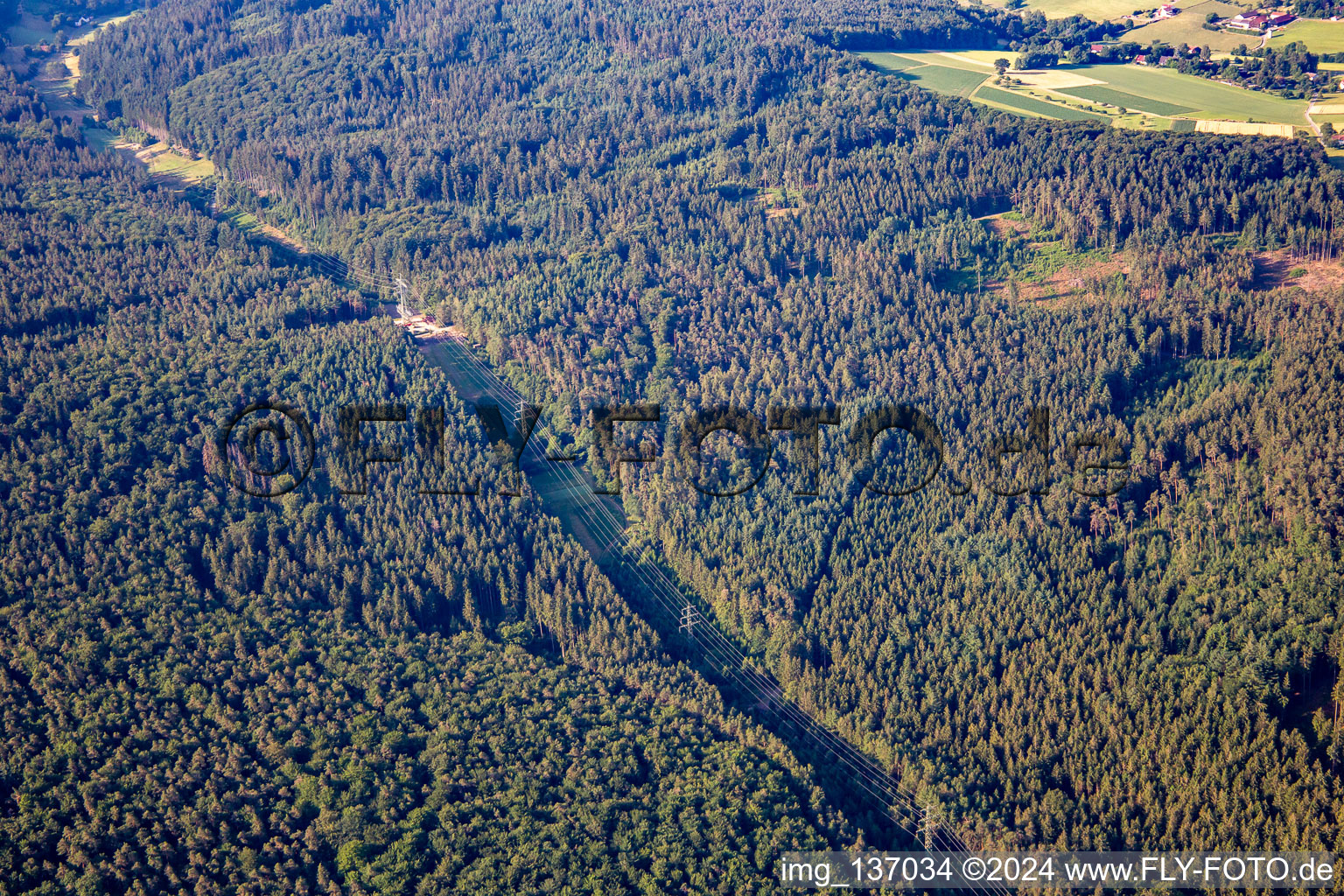 Forest clearing for the high-voltage line in the district Hüttenthal in Mossautal in the state Hesse, Germany