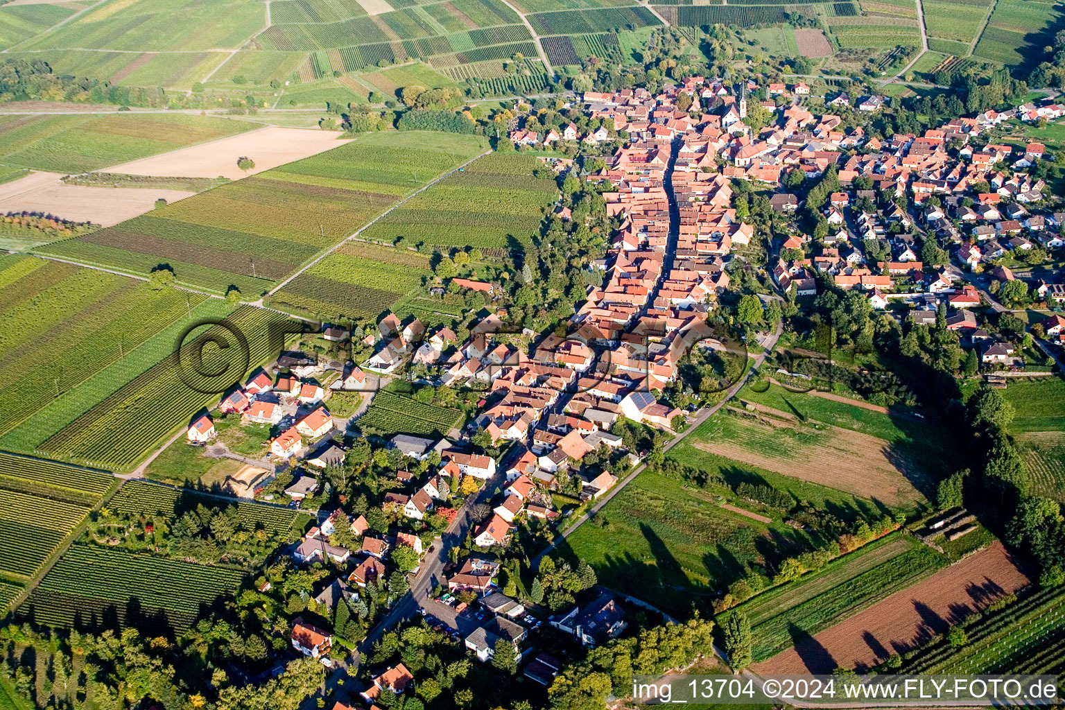 Göcklingen in the state Rhineland-Palatinate, Germany from the plane