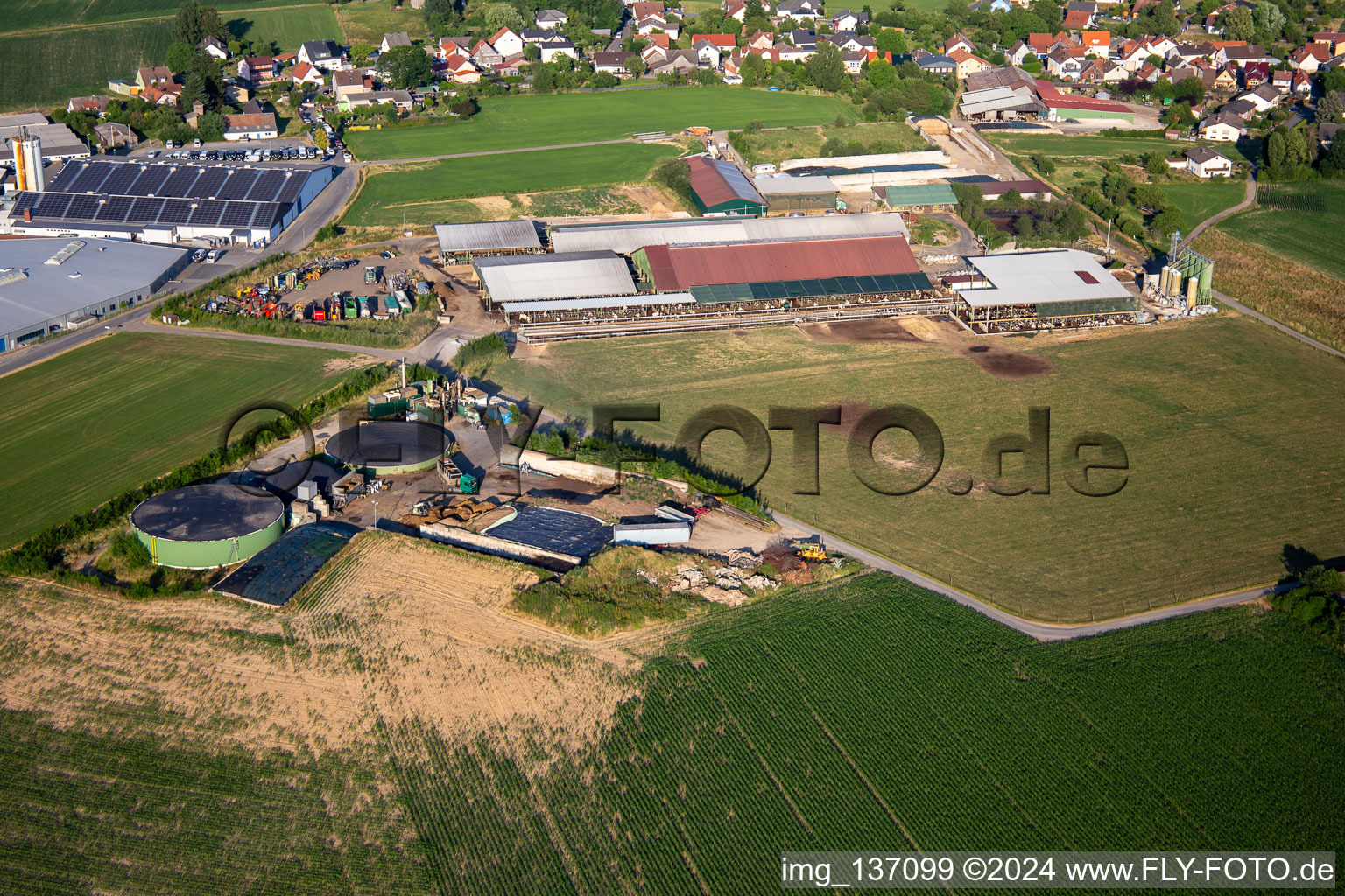 Horst Siefert in the district Vielbrunn in Michelstadt in the state Hesse, Germany