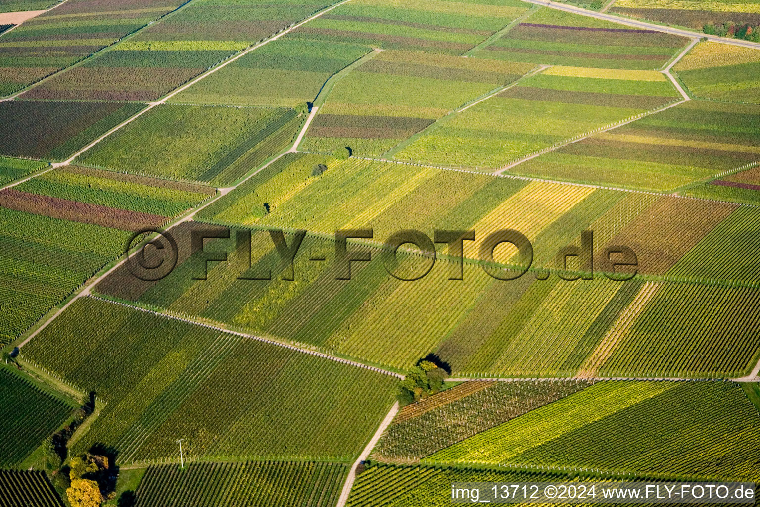 Göcklingen in the state Rhineland-Palatinate, Germany viewn from the air