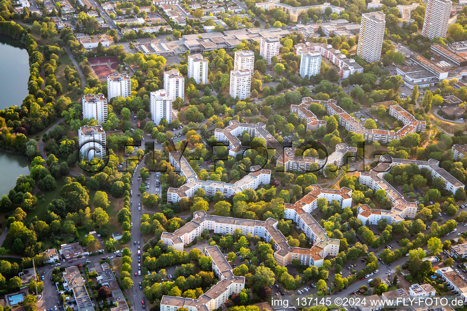 Sachsenstr in the district Vogelstang in Mannheim in the state Baden-Wuerttemberg, Germany