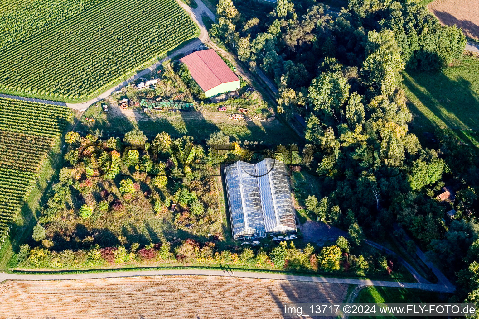 District Heuchelheim in Heuchelheim-Klingen in the state Rhineland-Palatinate, Germany from above