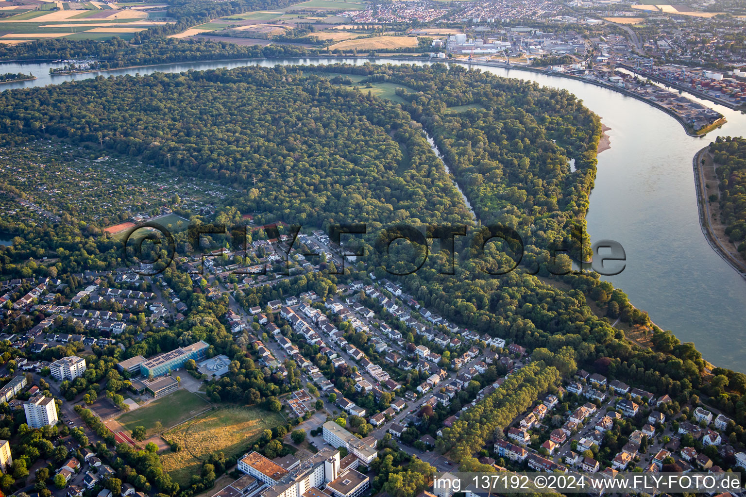 Reißinsel, nature reserve in the Rhine loop in the district Niederfeld in Mannheim in the state Baden-Wuerttemberg, Germany