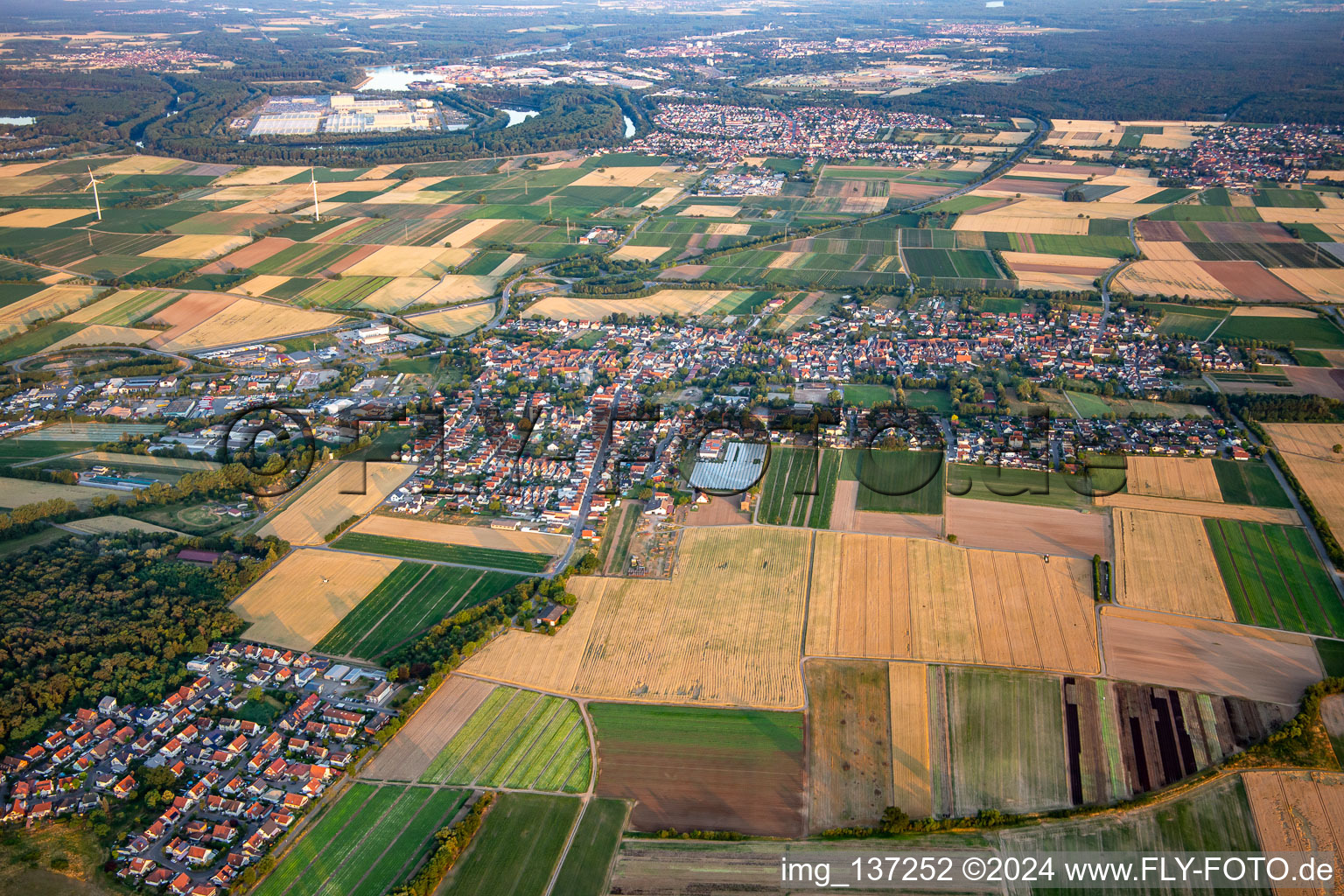 From the north in Schwegenheim in the state Rhineland-Palatinate, Germany