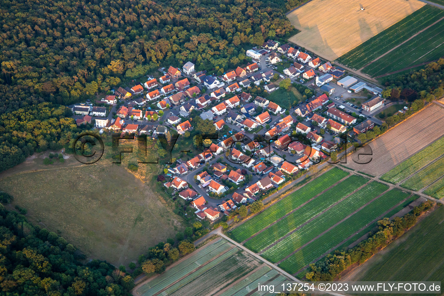 Buchenstr in Schwegenheim in the state Rhineland-Palatinate, Germany
