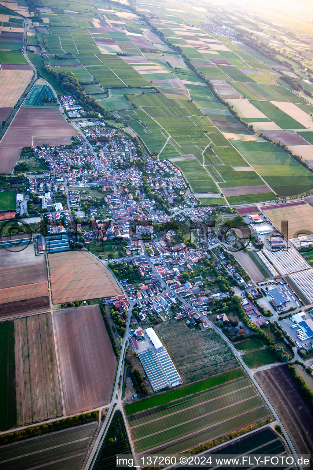 Aerial view of From the east in Weingarten in the state Rhineland-Palatinate, Germany