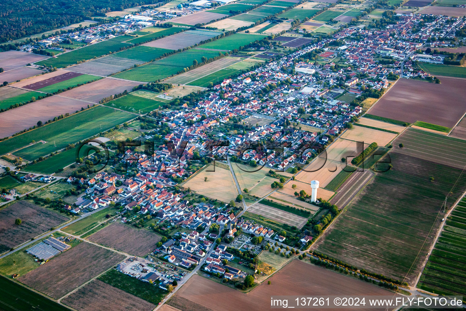 From northeast in the district Niederlustadt in Lustadt in the state Rhineland-Palatinate, Germany